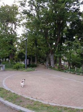 公園.jpg