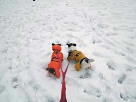 雪散歩⑥.jpg